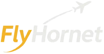 flyhornet logo